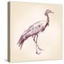 Japanese Crane Hand Drawn Vector Llustration Realistic Sketch-VladisChern-Stretched Canvas