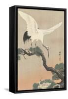Japanese Crane on Pine Branch, 1900-30-Ohara Koson-Framed Stretched Canvas