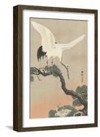 Japanese Crane on Pine Branch, 1900-30-Ohara Koson-Framed Art Print