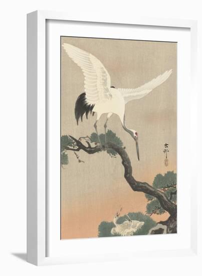 Japanese Crane on Pine Branch, 1900-30-Ohara Koson-Framed Art Print