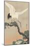 Japanese Crane on Pine Branch, 1900-30-Ohara Koson-Mounted Art Print