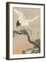 Japanese Crane on Pine Branch, 1900-30-Ohara Koson-Framed Art Print