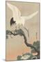 Japanese Crane on Pine Branch, 1900-30-Ohara Koson-Mounted Art Print