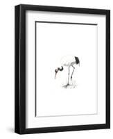 Japanese Cranes II-Naomi McCavitt-Framed Art Print