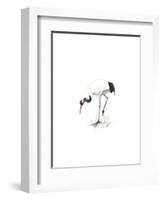 Japanese Cranes II-Naomi McCavitt-Framed Art Print