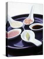 Japanese Dips on Spoons-Alexander Van Berge-Stretched Canvas