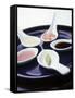 Japanese Dips on Spoons-Alexander Van Berge-Framed Stretched Canvas