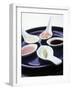 Japanese Dips on Spoons-Alexander Van Berge-Framed Photographic Print