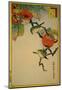 Japanese Eyeglass-Birds and Khaki Fruit-Sugakudo-Mounted Art Print