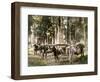 Japanese Family Carried in Litters-null-Framed Photographic Print