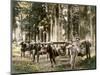 Japanese Family Carried in Litters-null-Mounted Photographic Print