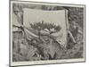 Japanese Fancy Gardening, a Dwarf Tree in the Rockery-null-Mounted Giclee Print