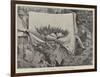 Japanese Fancy Gardening, a Dwarf Tree in the Rockery-null-Framed Giclee Print