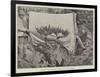 Japanese Fancy Gardening, a Dwarf Tree in the Rockery-null-Framed Giclee Print