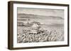 Japanese Fishermen Celebrating Gots-Tennoo in the 19th Century-null-Framed Giclee Print