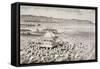 Japanese Fishermen Celebrating Gots-Tennoo in the 19th Century-null-Framed Stretched Canvas