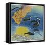 Japanese Fishing with Beacons to Attract the Fish and Cormorants to Catch Them-null-Framed Stretched Canvas