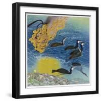 Japanese Fishing with Beacons to Attract the Fish and Cormorants to Catch Them-null-Framed Art Print
