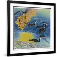 Japanese Fishing with Beacons to Attract the Fish and Cormorants to Catch Them-null-Framed Art Print