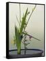 Japanese Flower Arranging (Ikebana) also Called the Way of Flowers (Kado), Japan-null-Framed Stretched Canvas