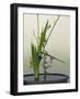 Japanese Flower Arranging (Ikebana) also Called the Way of Flowers (Kado), Japan-null-Framed Photographic Print