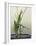 Japanese Flower Arranging (Ikebana) also Called the Way of Flowers (Kado), Japan-null-Framed Photographic Print