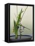 Japanese Flower Arranging (Ikebana) also Called the Way of Flowers (Kado), Japan-null-Framed Stretched Canvas