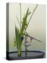 Japanese Flower Arranging (Ikebana) also Called the Way of Flowers (Kado), Japan-null-Stretched Canvas