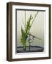 Japanese Flower Arranging (Ikebana) also Called the Way of Flowers (Kado), Japan-null-Framed Photographic Print