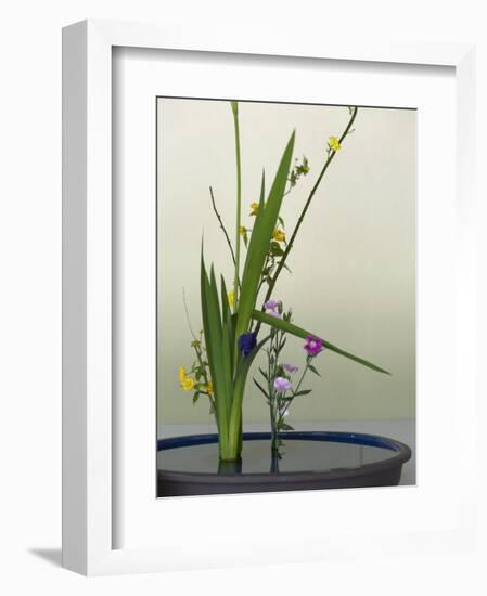 Japanese Flower Arranging (Ikebana) also Called the Way of Flowers (Kado), Japan-null-Framed Photographic Print