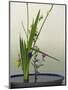 Japanese Flower Arranging (Ikebana) also Called the Way of Flowers (Kado), Japan-null-Mounted Photographic Print