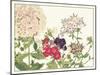 Japanese Flower Garden II-Konan Tanigami-Mounted Art Print