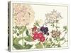 Japanese Flower Garden II-Konan Tanigami-Stretched Canvas