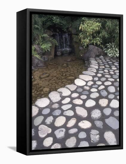 Japanese Garden at Butchart Gardens, Vancouver Island, British Columbia, Canada-Connie Ricca-Framed Stretched Canvas