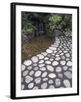 Japanese Garden at Butchart Gardens, Vancouver Island, British Columbia, Canada-Connie Ricca-Framed Photographic Print