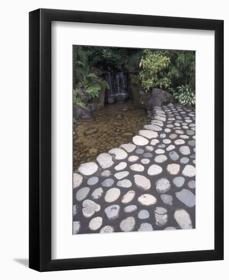 Japanese Garden at Butchart Gardens, Vancouver Island, British Columbia, Canada-Connie Ricca-Framed Premium Photographic Print