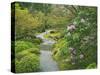 Japanese Garden at the Washington Park Arboretum, Seattle, Washington, USA-Dennis Flaherty-Stretched Canvas