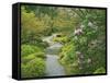 Japanese Garden at the Washington Park Arboretum, Seattle, Washington, USA-Dennis Flaherty-Framed Stretched Canvas