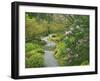 Japanese Garden at the Washington Park Arboretum, Seattle, Washington, USA-Dennis Flaherty-Framed Photographic Print