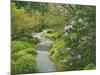 Japanese Garden at the Washington Park Arboretum, Seattle, Washington, USA-Dennis Flaherty-Mounted Photographic Print