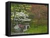 Japanese Garden at the Washington Park Arboretum, Seattle, Washington, USA-Dennis Flaherty-Framed Stretched Canvas