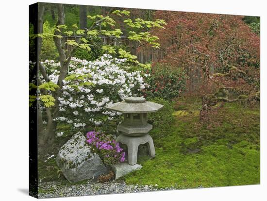 Japanese Garden at the Washington Park Arboretum, Seattle, Washington, USA-Dennis Flaherty-Stretched Canvas