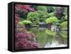 Japanese Garden, Brooklyn Botanical Garden, Brooklyn-Christian Kober-Framed Stretched Canvas