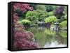 Japanese Garden, Brooklyn Botanical Garden, Brooklyn-Christian Kober-Framed Stretched Canvas