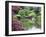 Japanese Garden, Brooklyn Botanical Garden, Brooklyn-Christian Kober-Framed Photographic Print