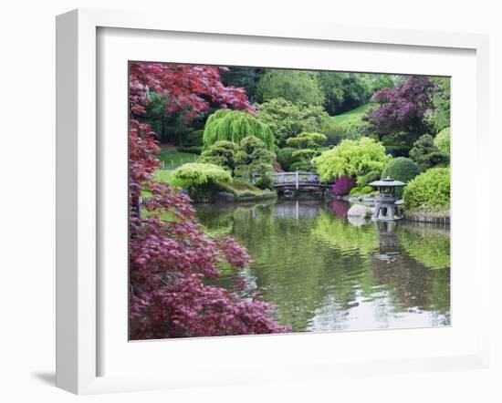 Japanese Garden, Brooklyn Botanical Garden, Brooklyn-Christian Kober-Framed Photographic Print
