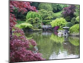 Japanese Garden, Brooklyn Botanical Garden, Brooklyn-Christian Kober-Mounted Photographic Print
