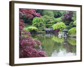 Japanese Garden, Brooklyn Botanical Garden, Brooklyn-Christian Kober-Framed Photographic Print