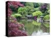 Japanese Garden, Brooklyn Botanical Garden, Brooklyn-Christian Kober-Stretched Canvas