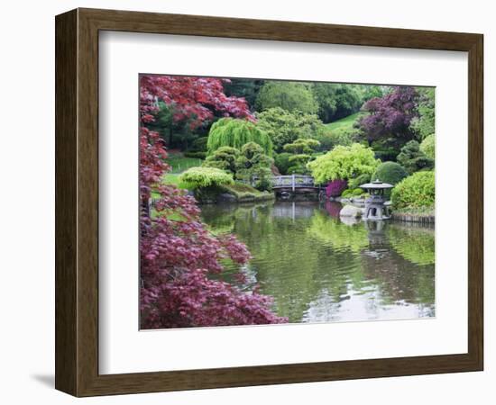 Japanese Garden, Brooklyn Botanical Garden, Brooklyn-Christian Kober-Framed Photographic Print